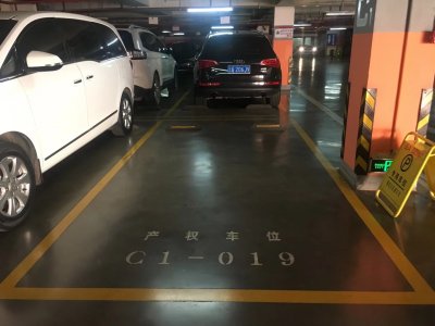 南城投彩色密封固化劑停車(chē)場(chǎng)案例
