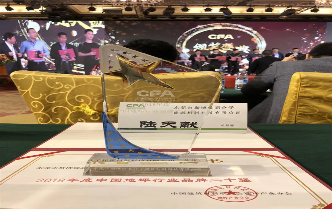 砥礪前行，再創(chuàng  )輝煌|斯博銳喜獲“2018年中國地坪(圖6)