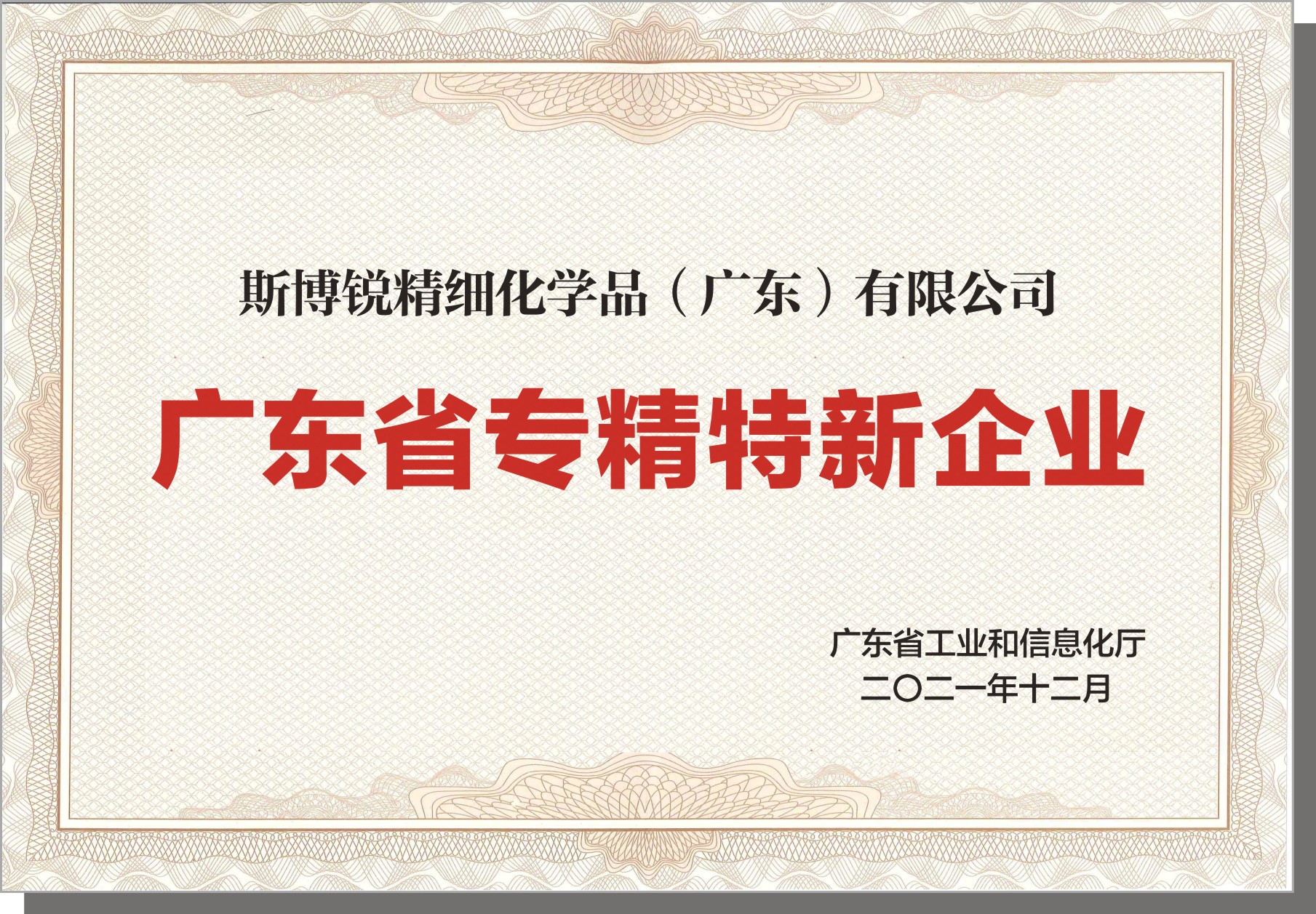 專(zhuān)精特新企業(yè).jpg